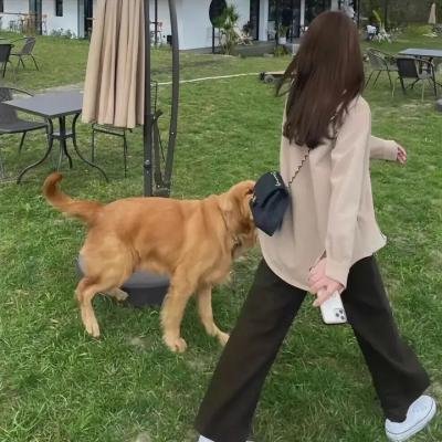 我,迈克尔